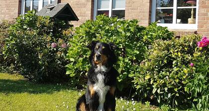 Urlaub mit Hund in Nordfriesland