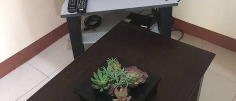A flat-screen TV on a stand with a remote control, a dark wooden table with a succulent plant, and a chair with a black seat cushion.