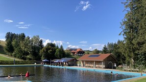 Une piscine dont le bord est bleu, entourée de pelouse et d’arbres. On aperçoit, au loin, des bâtiments équipés de panneaux solaires.