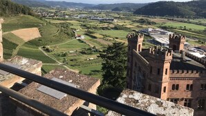 Un château doté d’une tour, entouré de champs verdoyants et surplombant un village situé au loin.
