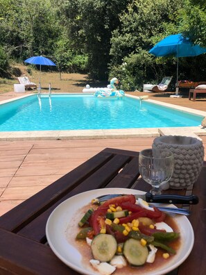 Pool - Mas Cévenol typical family, isolated, quiet, private pool in the heart of 20ha (Anduze)