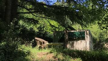 Àrea exterior de l'allotjament