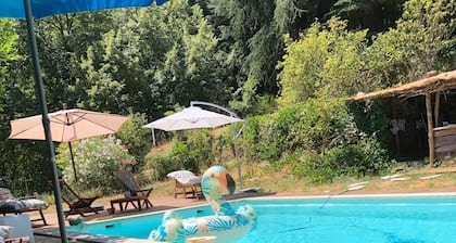 Mas Cévenol typical family, isolated, quiet, private pool in the heart of 20ha