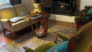 A cozy living room with a fireplace, a sofa, a chair, and a rug. - Mas Cévenol typical family, isolated, quiet, private pool in the heart of 20ha (Anduze)