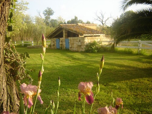 Holiday farmhouse at the vineyard in the Camargue