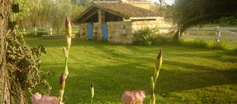 Holiday farmhouse at the vineyard in the Camargue
