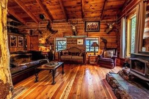 Fireplace, books, stereo