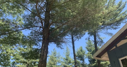Pet-Friendly near Castle Rock Lake- Cabin -Game Room - Near Wisconsin Dells