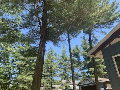 Pet-Friendly near Castle Rock Lake- Cabin -Game Room - Near Wisconsin Dells