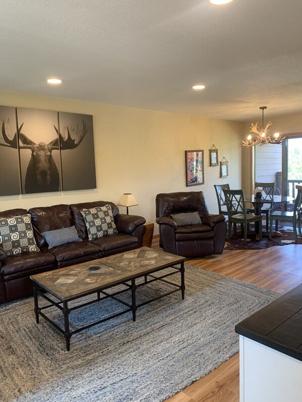 Smart TV, fireplace, DVD player, books