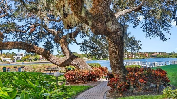 Un parc avec un chemin sinueux en briques, de grands arbres et une étendue d’eau en arrière-plan.