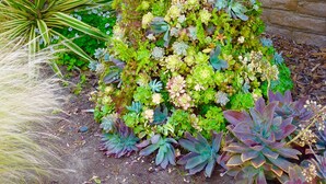 A statue of a woman made of plants and flowers, surrounded by various types of greenery. - Charming Casita in Sleepy Beach Community (Encinitas)
