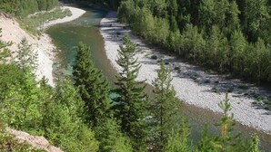 A river winding through a forested area with dense trees and rocky riverbanks.