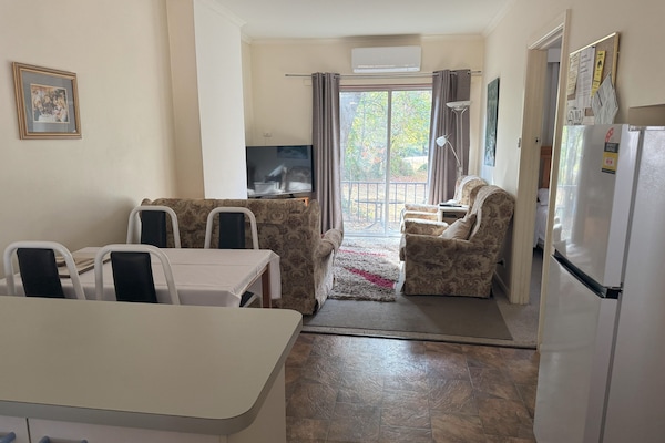 Apartamento clásico, 1 habitación, cocina, vistas al río (Unit 3) | Zona de estar | Televisión de pantalla plana de 40 pulgadas con canales digitales