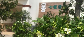 白宮七哩香園