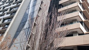 A high-rise building with a modern architectural design, featuring a prominent curved facade and numerous balconies. - Madison Apartment (Melbourne)