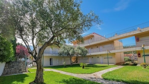 A courtyard with a tree, a stone pathway, and a building with balconies.