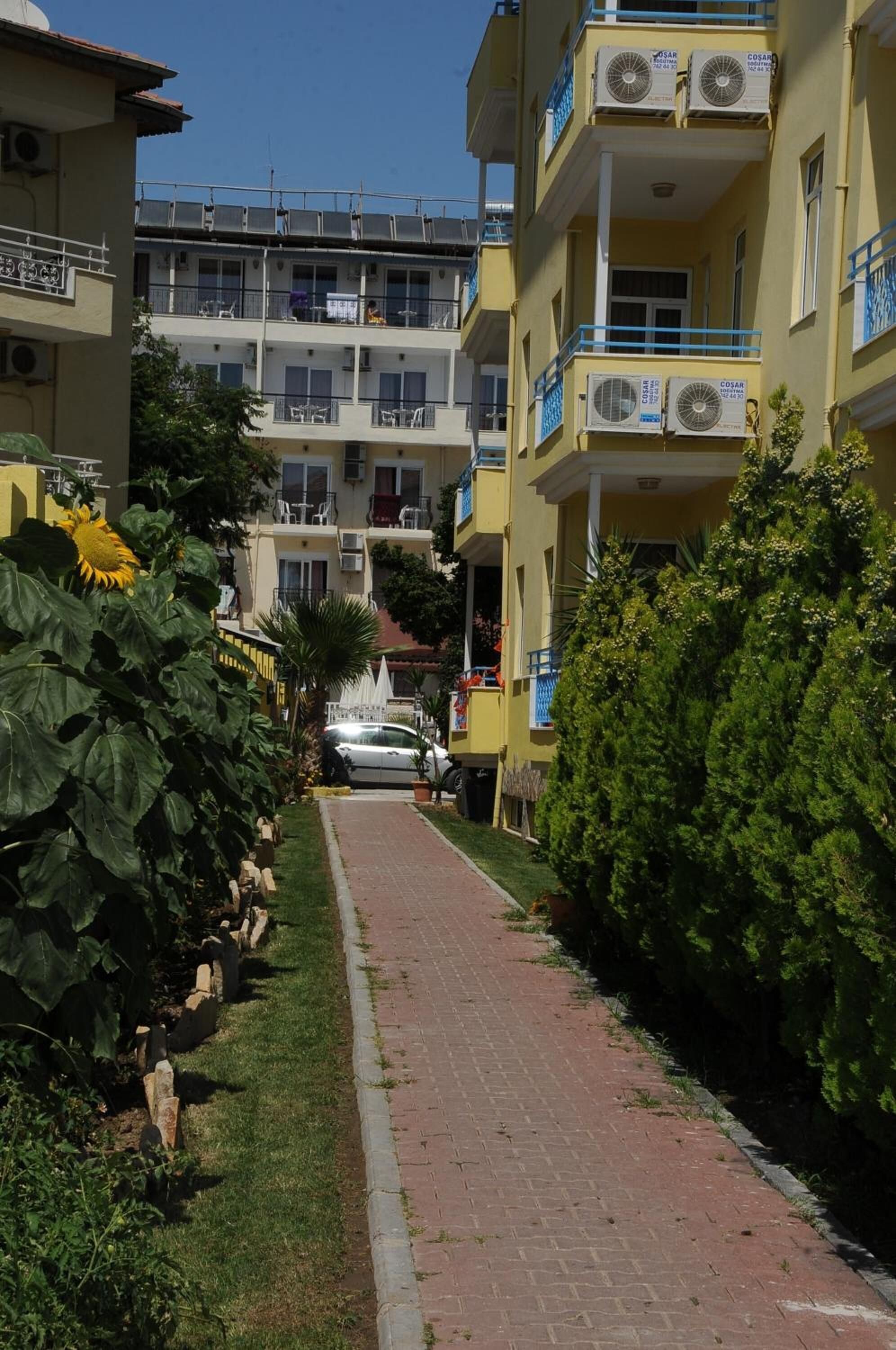 Photo - Sun Flower Apart Hotel