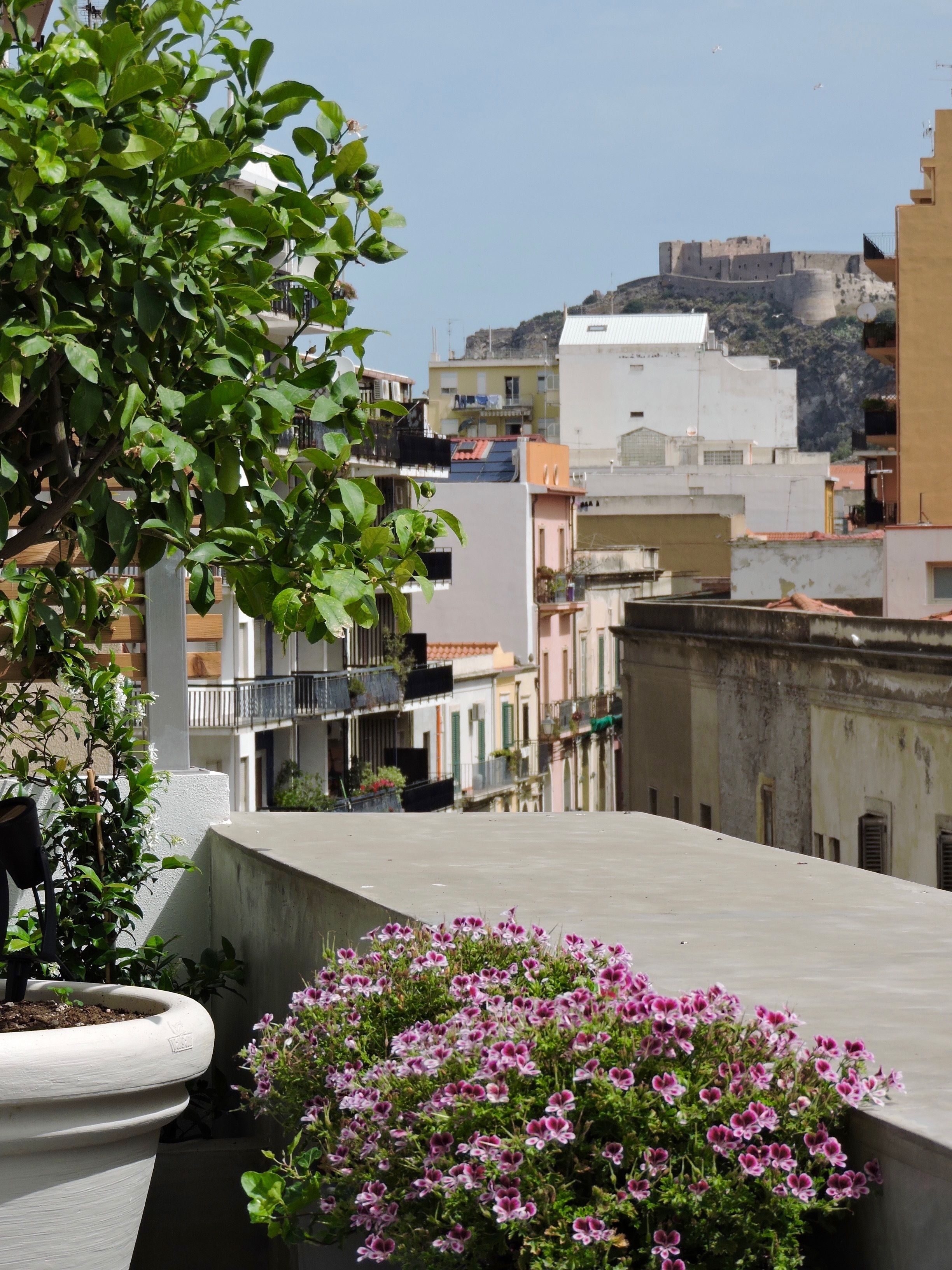 A balcony with a potted plant and flowers, overlooking a cityscape with buildings and a hill in the background.