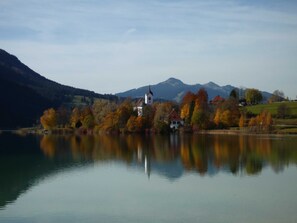 Immagine non classificata, 3 di 30, pulsante