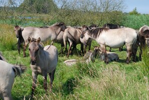 Imagen sin descripción, 4 de 28, botón