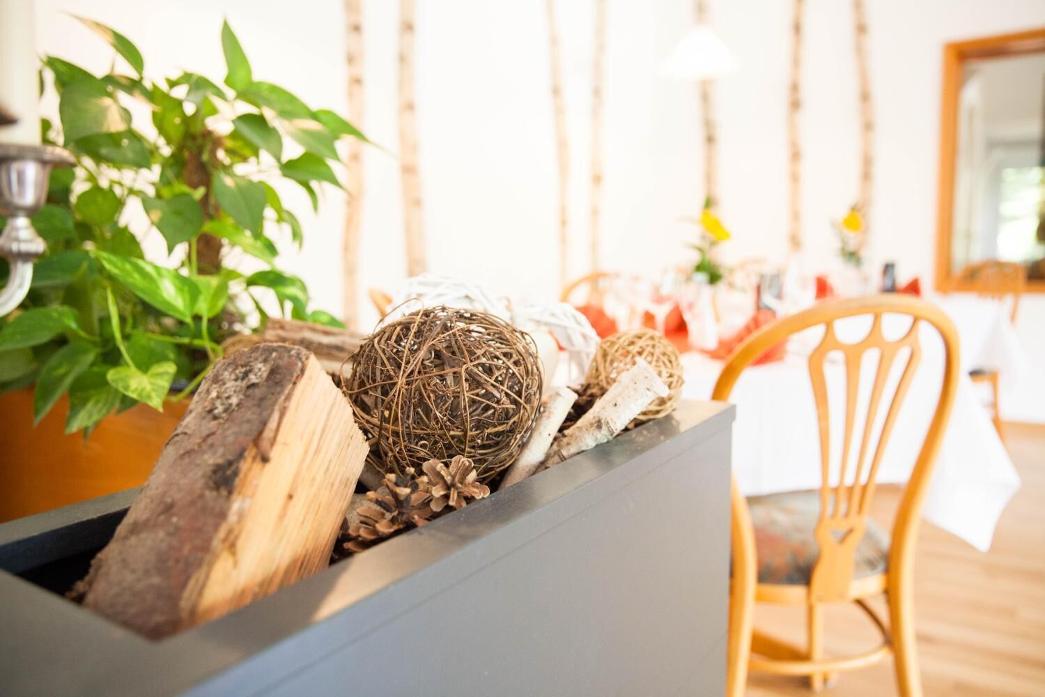 A wooden chest filled with natural items like pinecones and a woven ball, placed in a room with a wooden chair and a table with a white tablecloth.
