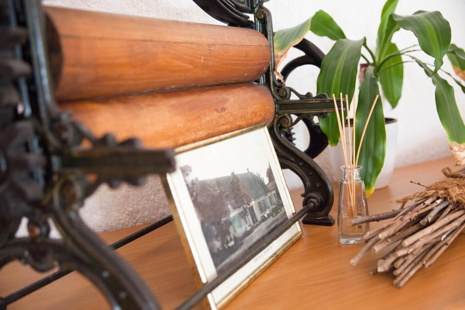 A wooden bench with a framed photograph, a glass vase with reeds, and a potted plant on a wooden surface.
