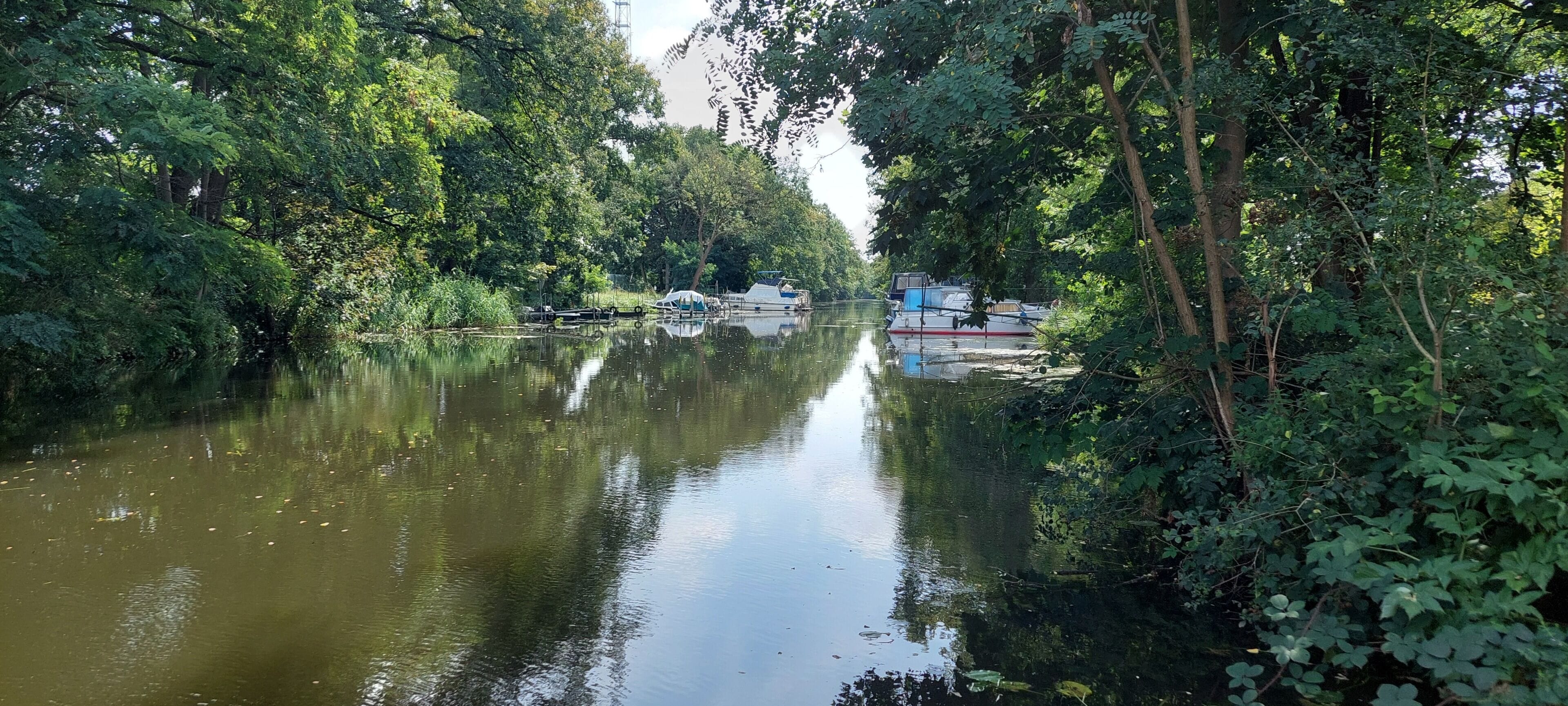 A calm river with boats, surrounded by dense greenery.