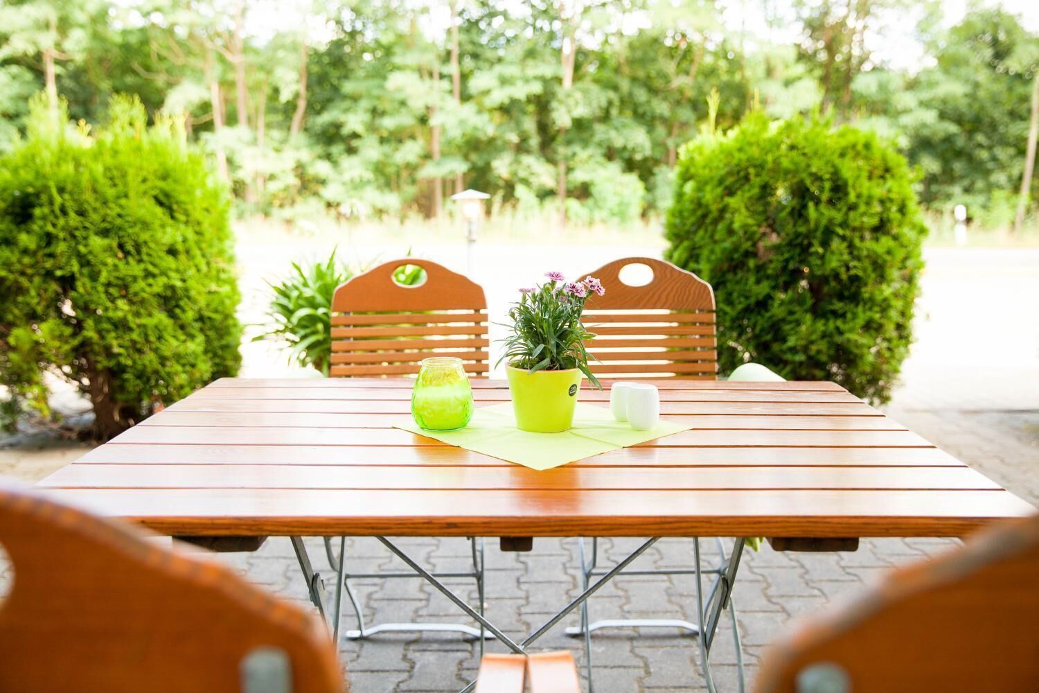 Una mesa de madera con dos sillas, una planta verde y un vaso de bebida verde.