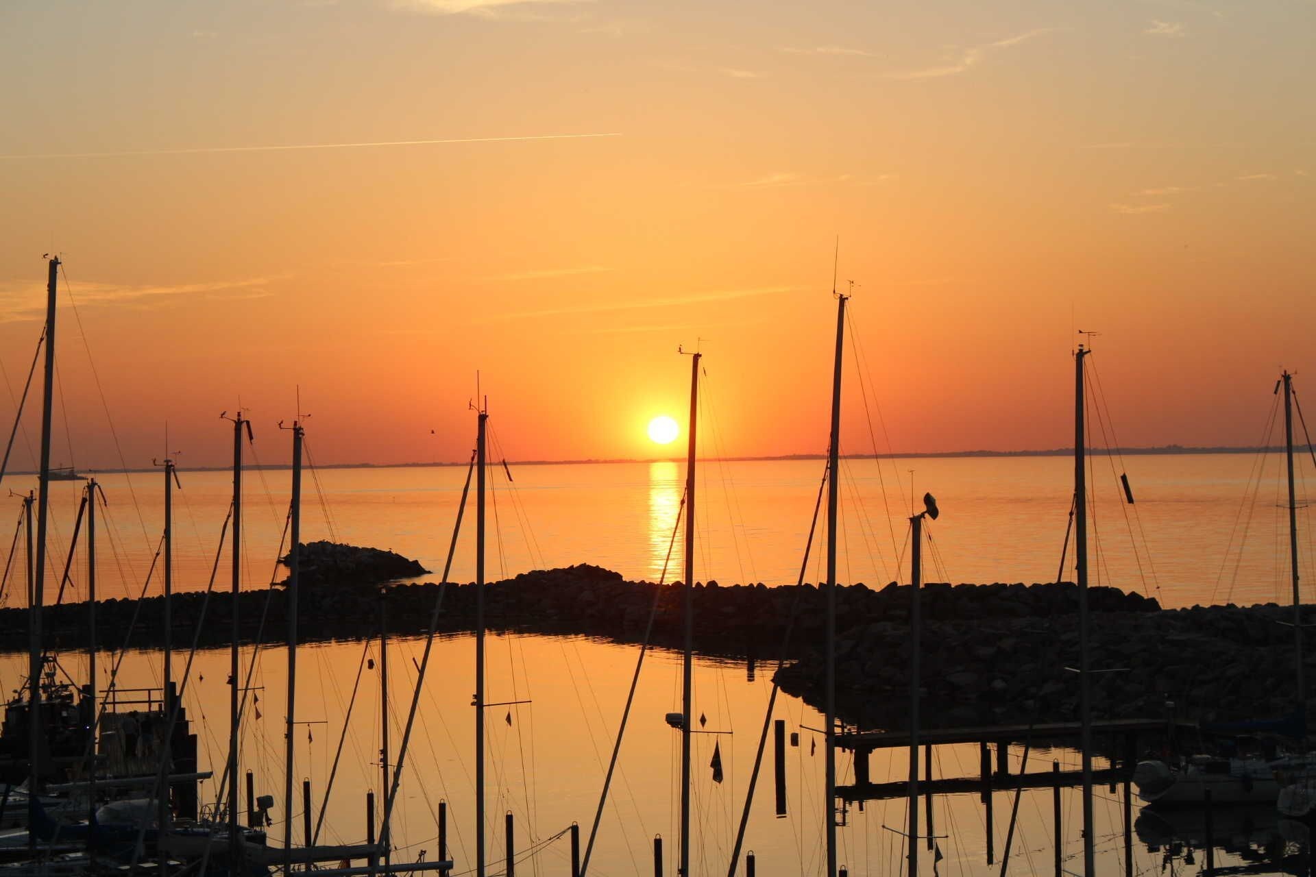 A marina with multiple boats docked, a clear sky, and the sun setting over the horizon.