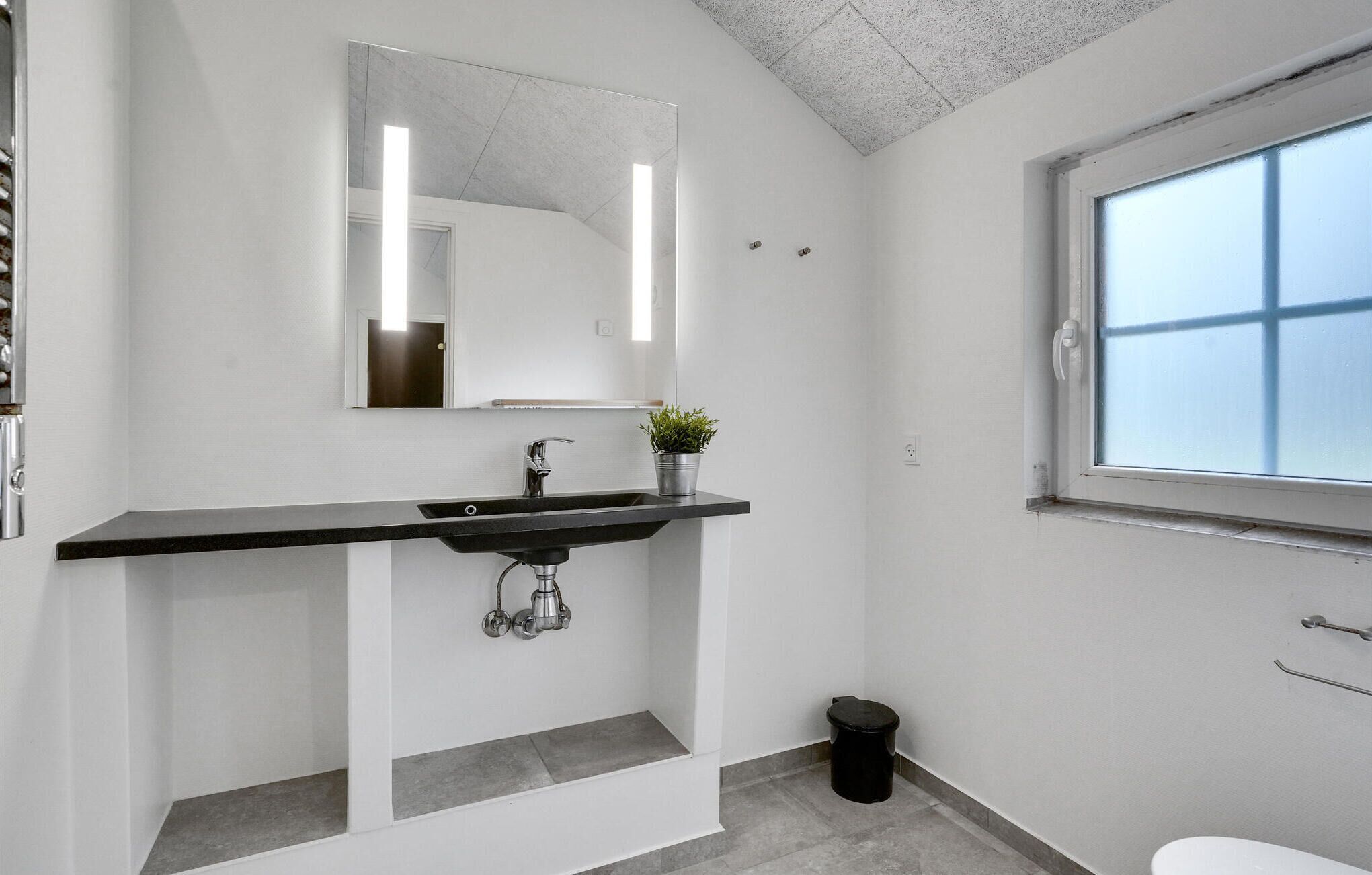 A modern bathroom with a black countertop, a mirror, a potted plant, a toilet, and a window.