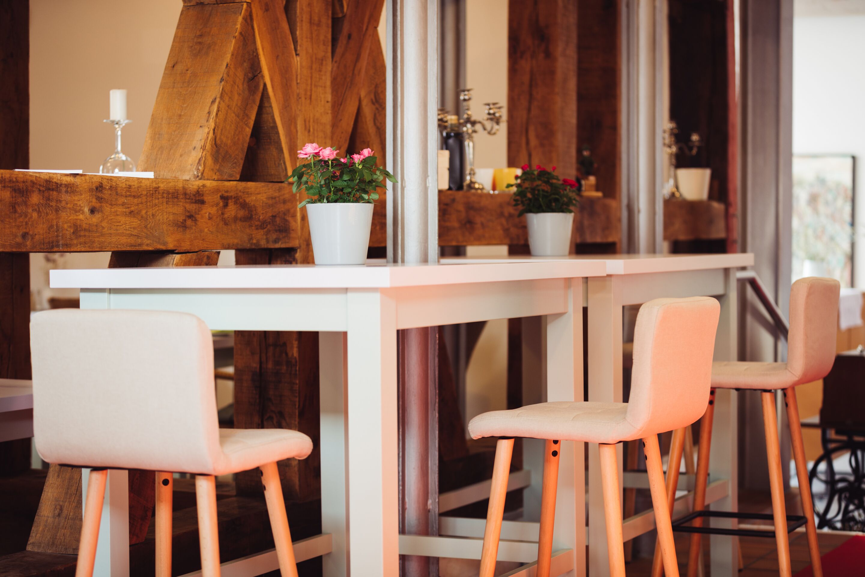 A modern interior with a wooden accent wall, white chairs, and potted plants on a white table.