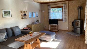 Fernseher, Kamin