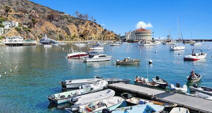 Vue sur le port, Maison 3 chambres, 2 salles de bain, Récemment r�����nov�� + GOLF PANIER