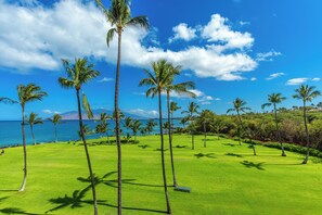 A golf course with palm trees and a view of the ocean.