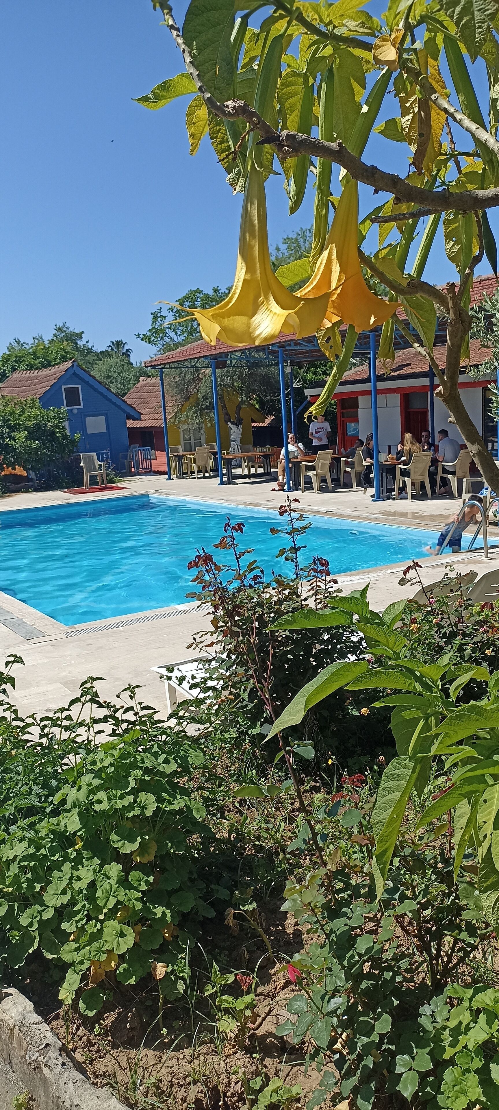 Photo - Bykara Motel