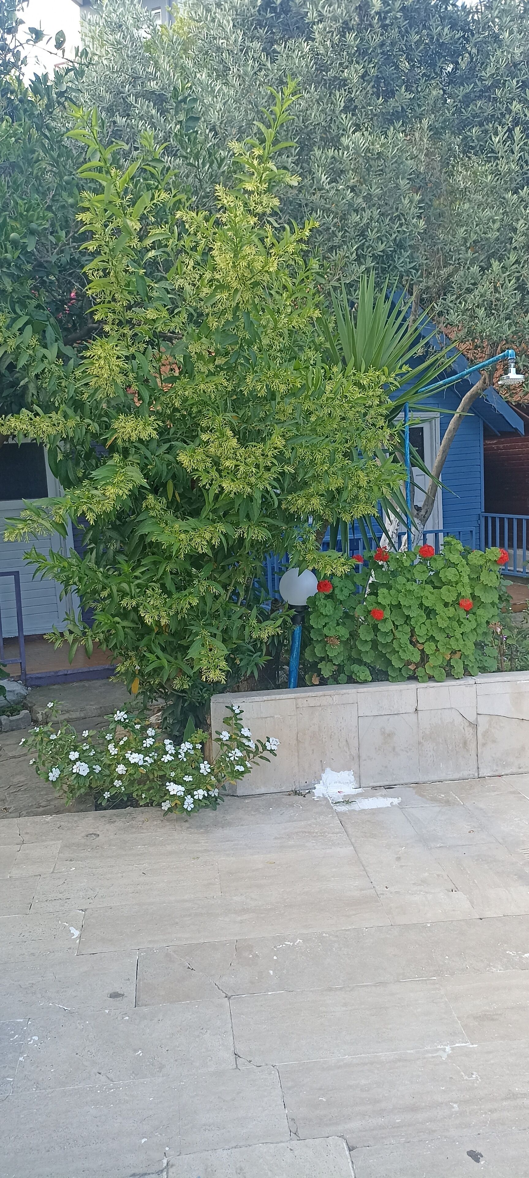 Photo - Bykara Motel