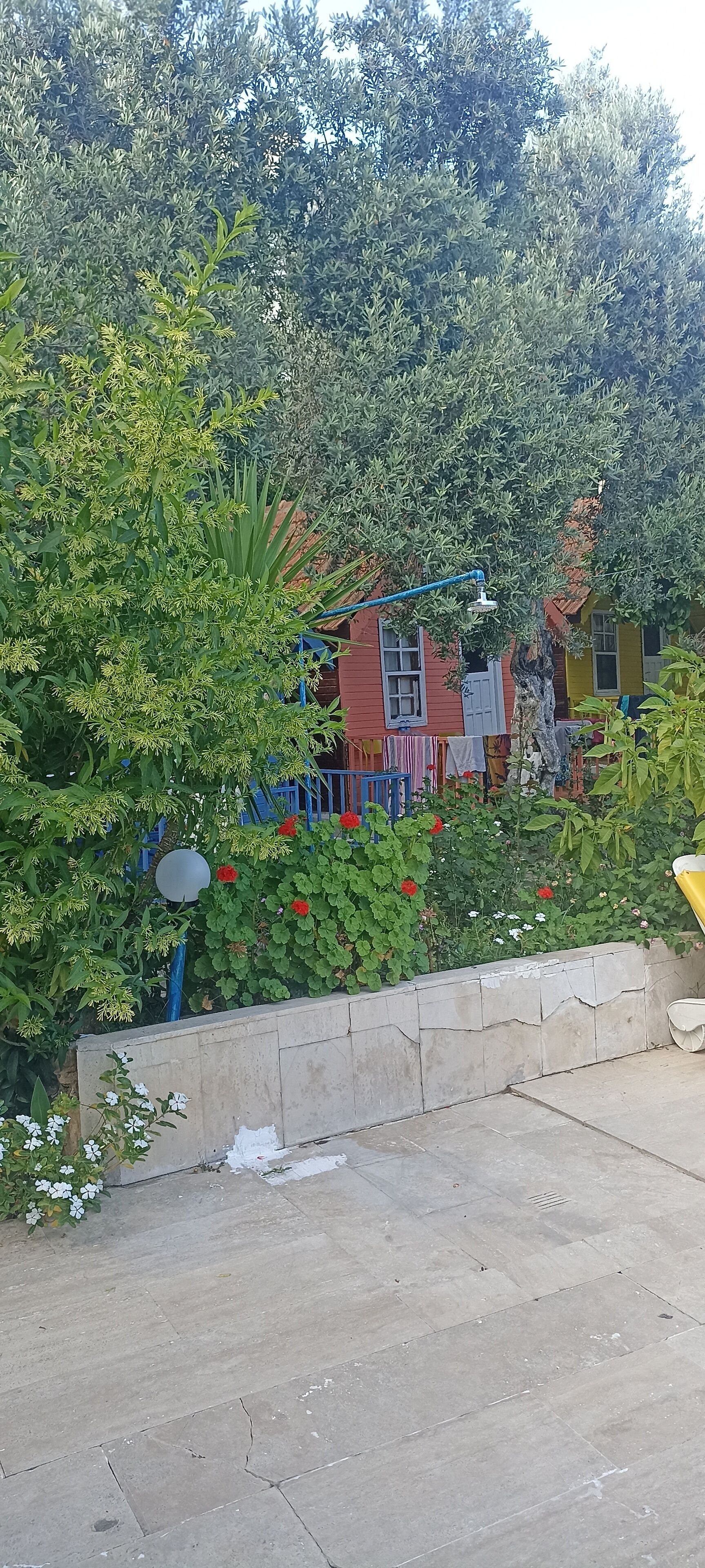 Photo - Bykara Motel