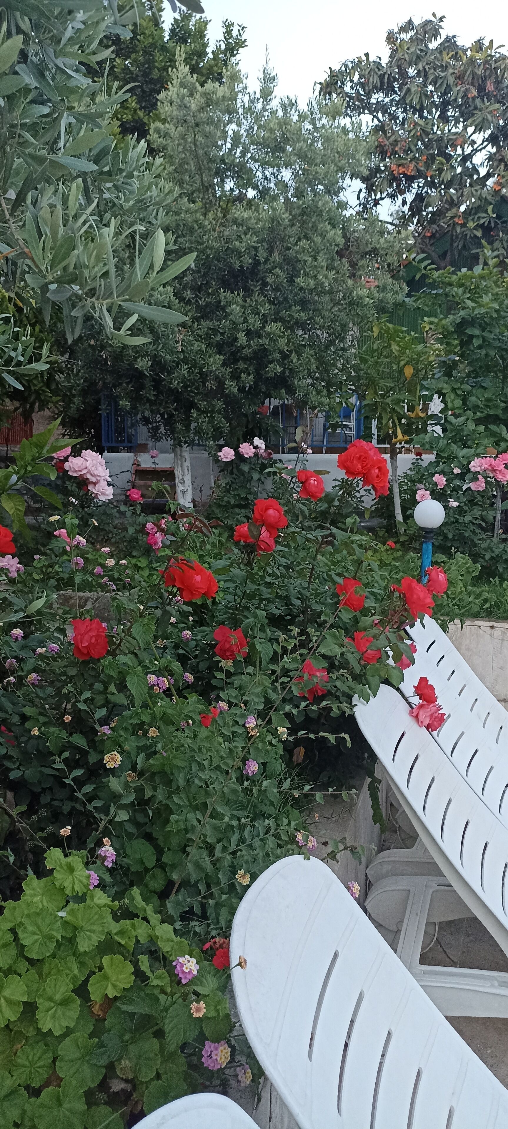 Photo - Bykara Motel