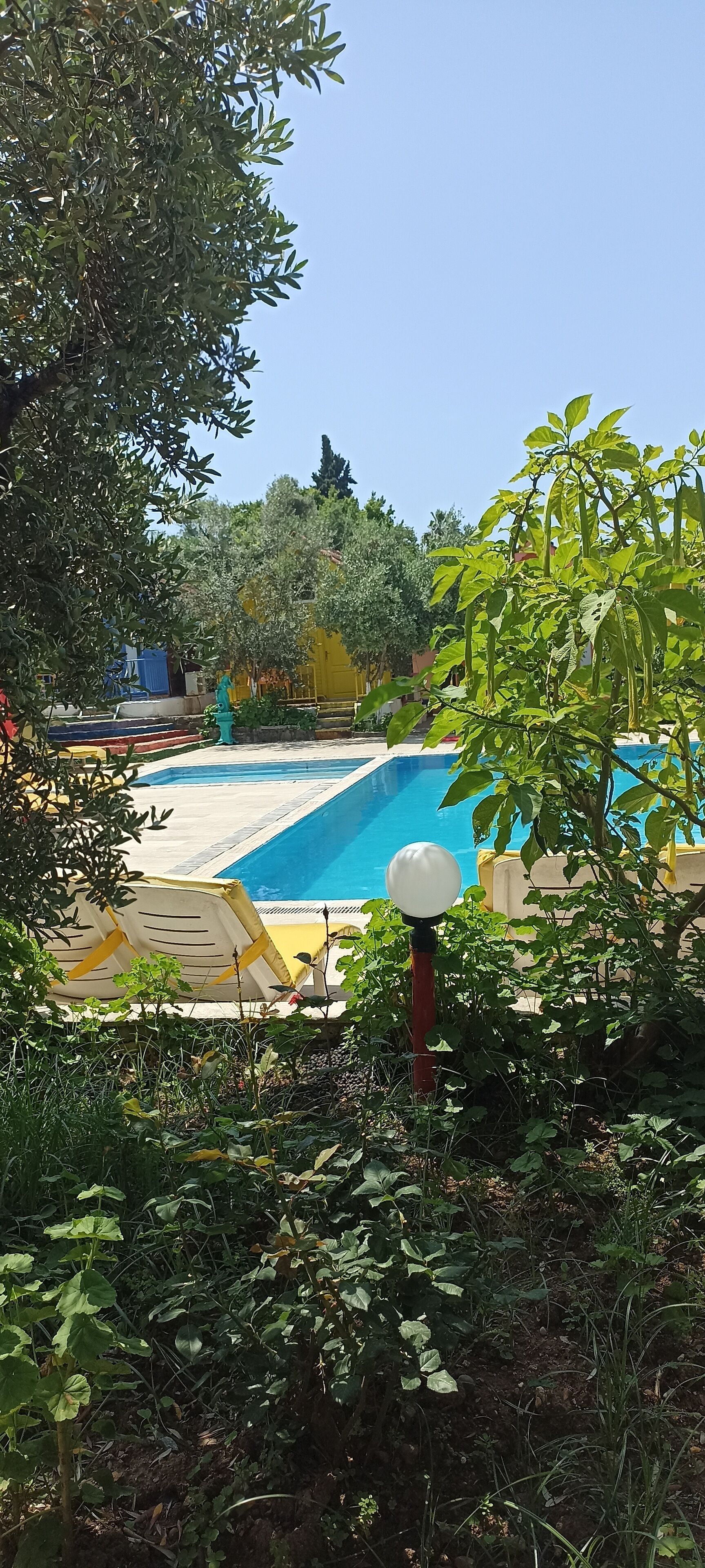 Photo - Bykara Motel