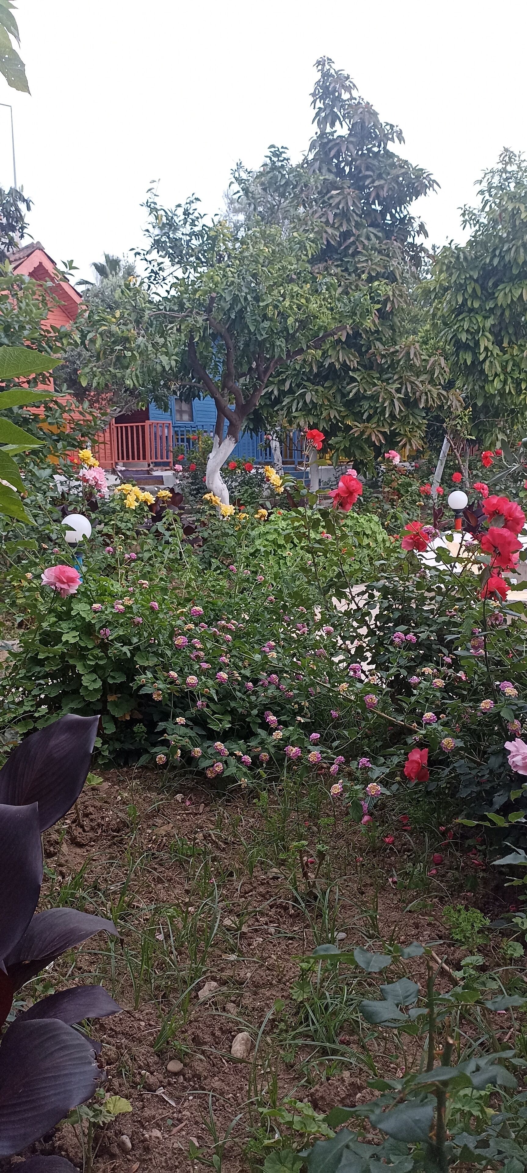 Photo - Bykara Motel