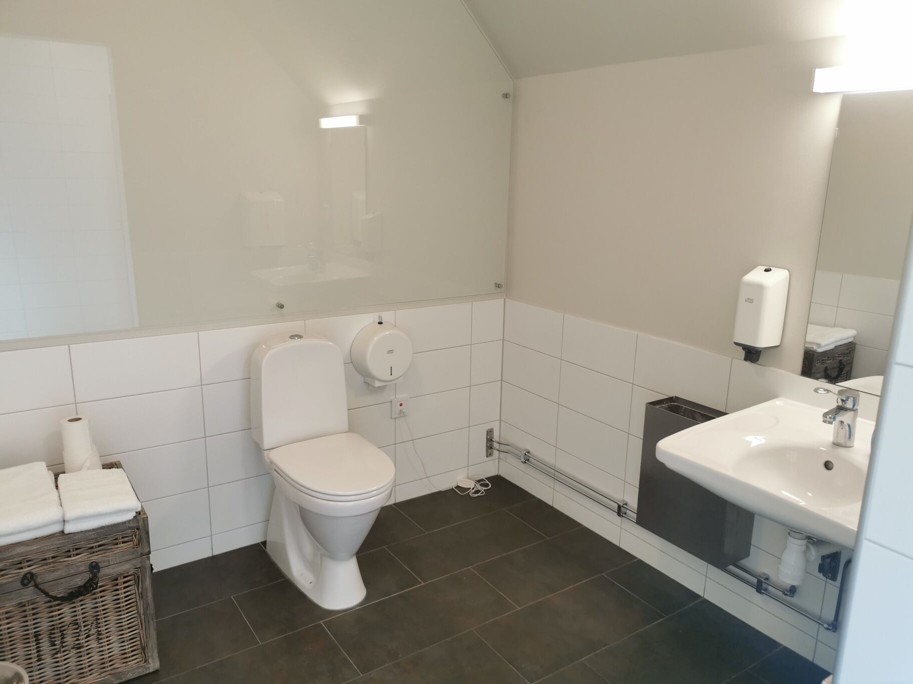 A bathroom with a toilet, a sink, and a hand dryer.