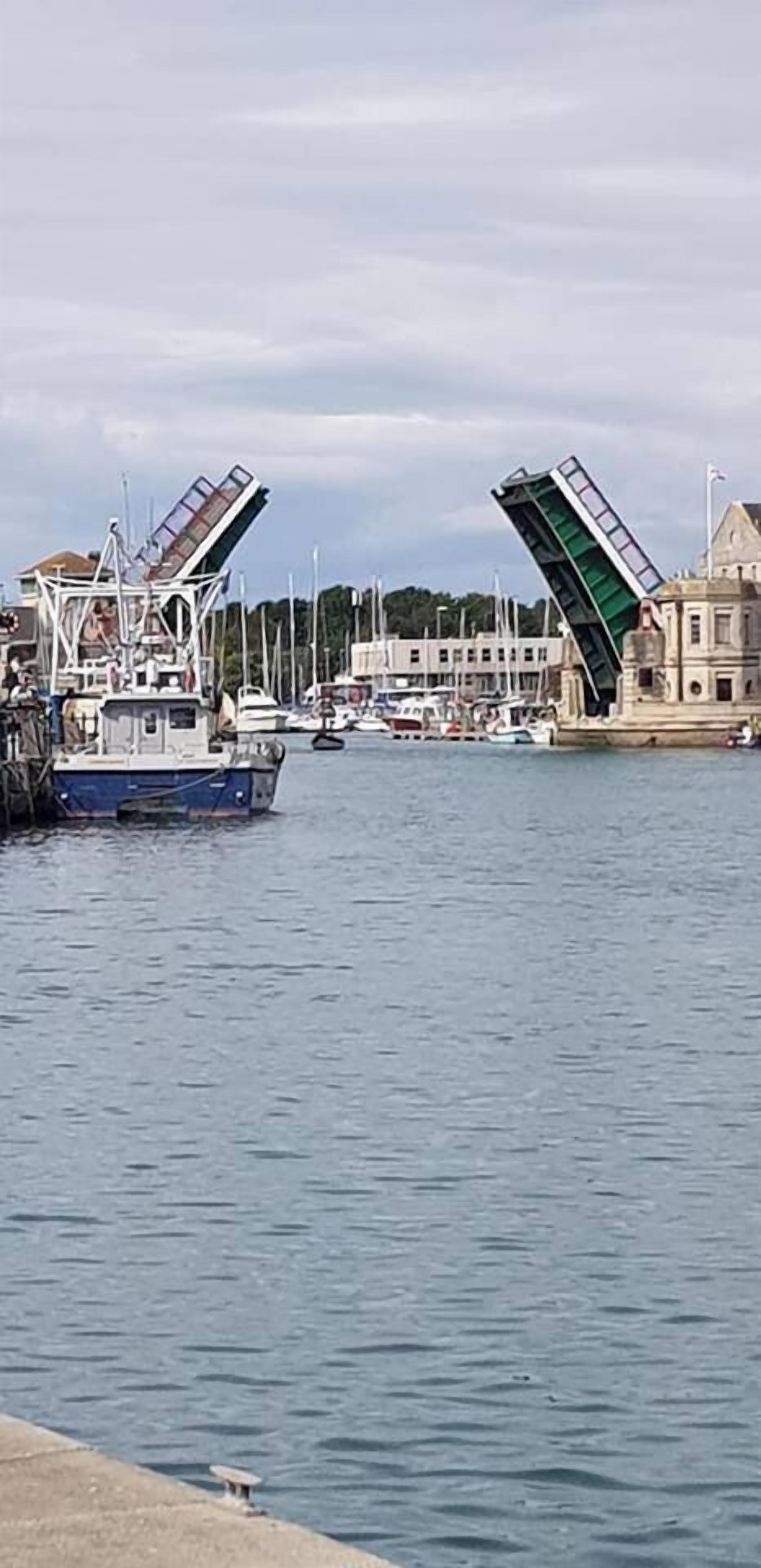 A harbor with boats docked, a bridge, and buildings in the background.