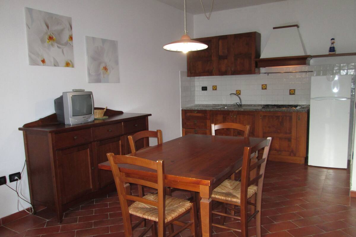 Uma área de refeições com mesa e cadeiras de madeira, uma televisão sobre um armário de madeira e uma cozinha com armários de madeira e uma geladeira branca.