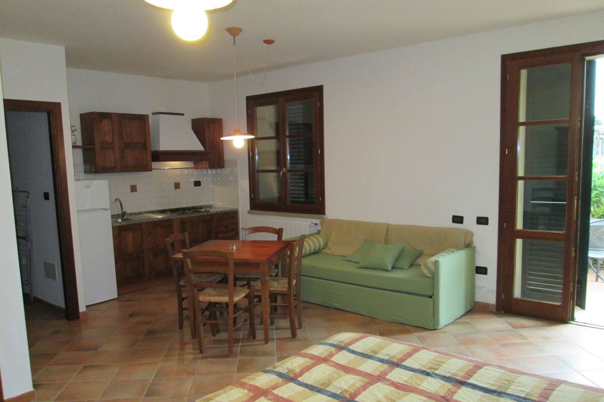 Um espaço de estar compacto com área de jantar, cozinha compacta e sofá.