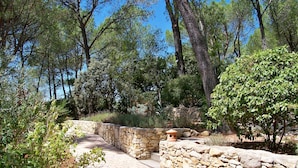 A stone pathway leading through a forested area with a stone wall and a small terracotta pot. - Sous les Pins de Nages (Nages-et-Solorgues)
