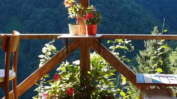 Free daily full breakfast