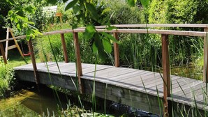 Un puente de madera sobre un estanque con nenúfares.