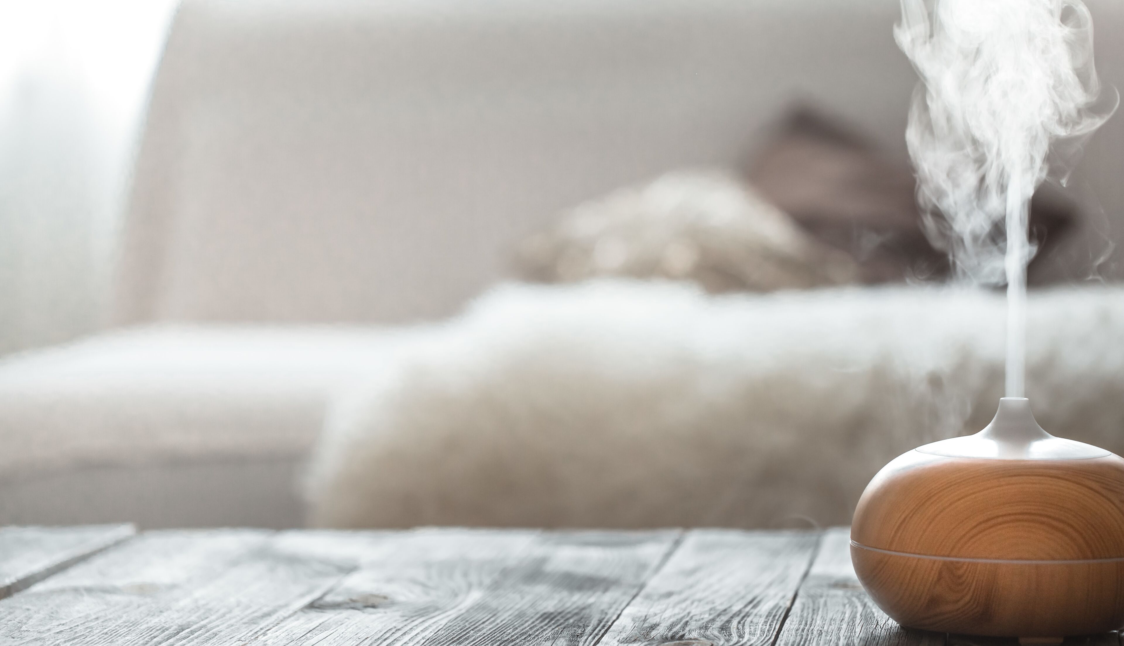 Foto - Guest House Maria