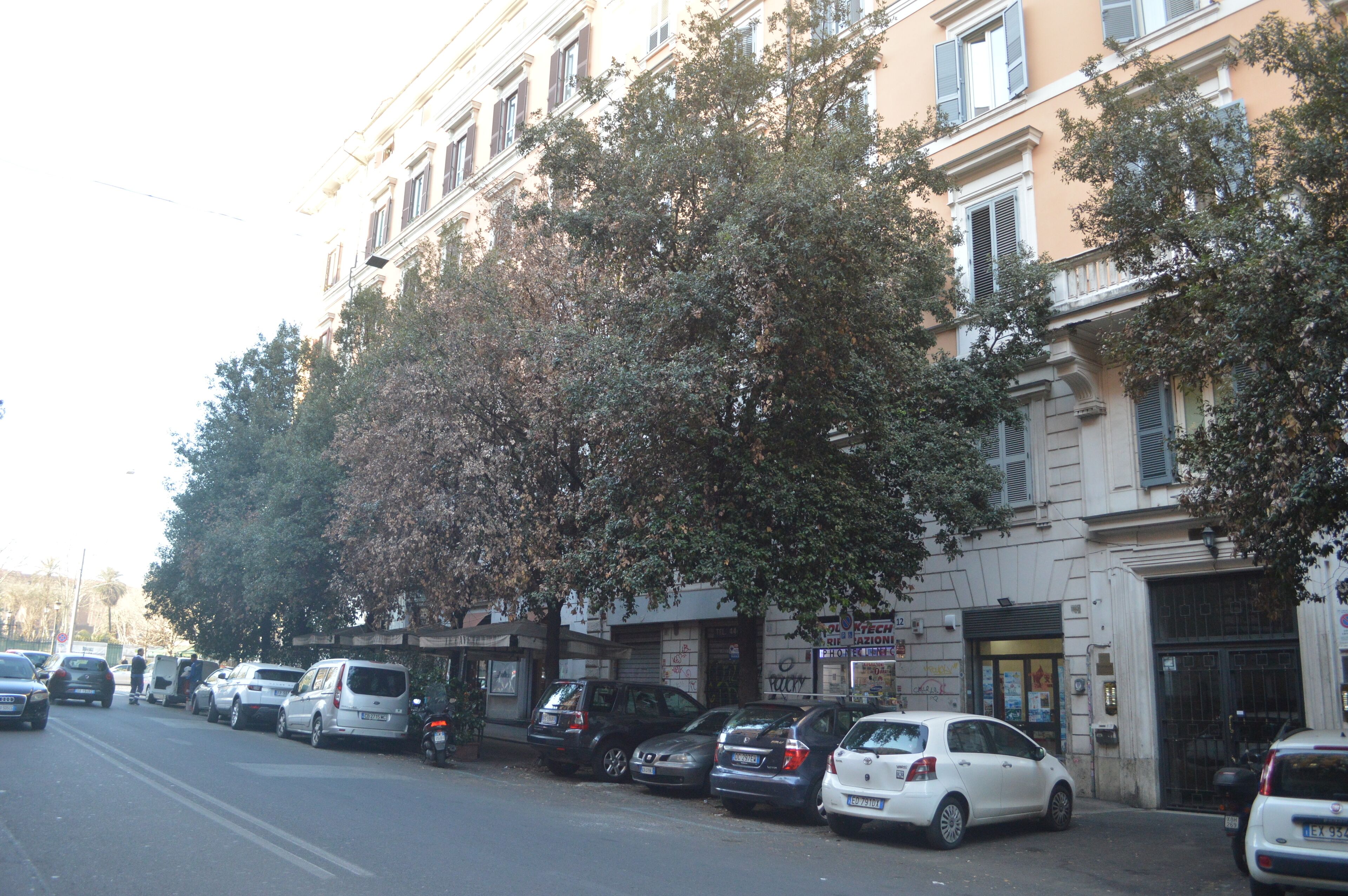 Foto - Guest House Maria